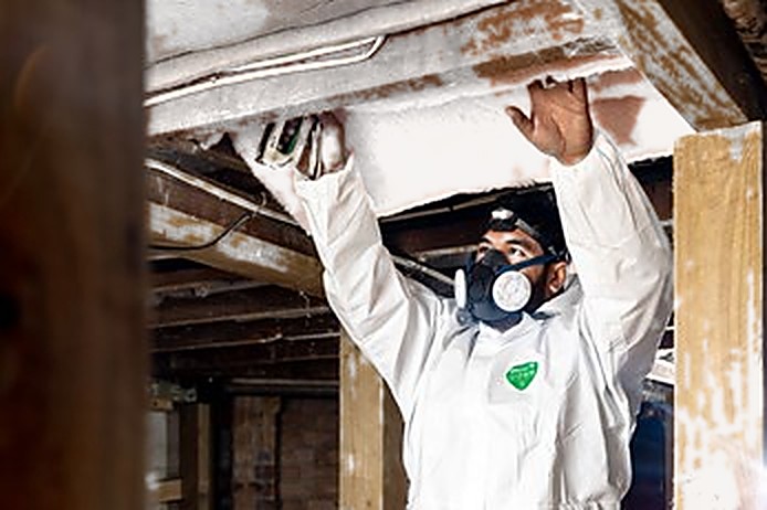 Elite Insulation installers fitting ceiling insulation in an Auckland home